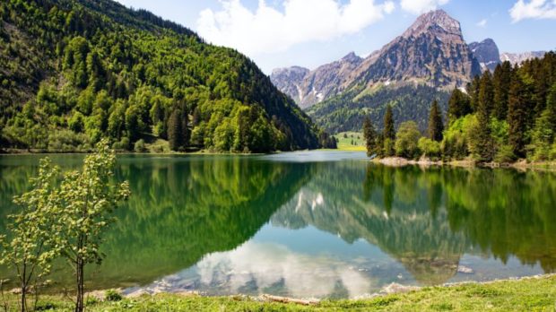 dorothea-oldani-8YHmOdmnGOI-unsplash-scaled-thegem-blog-default