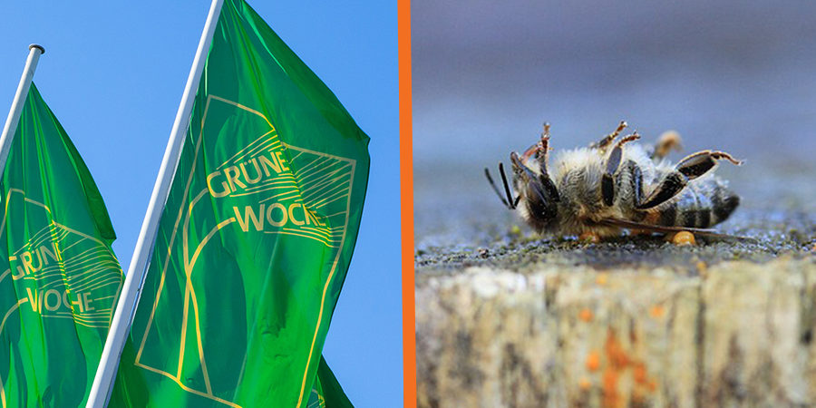 Ankündigung_Grüne_Woche