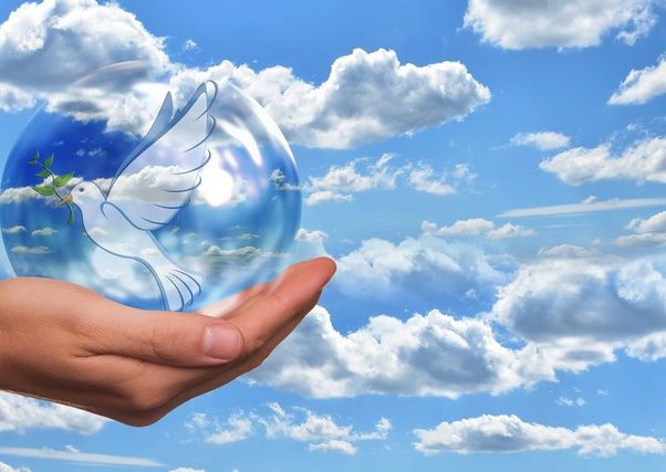 Frieden_taube_hand_800