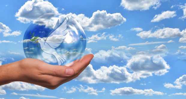 Frieden_taube_hand_800