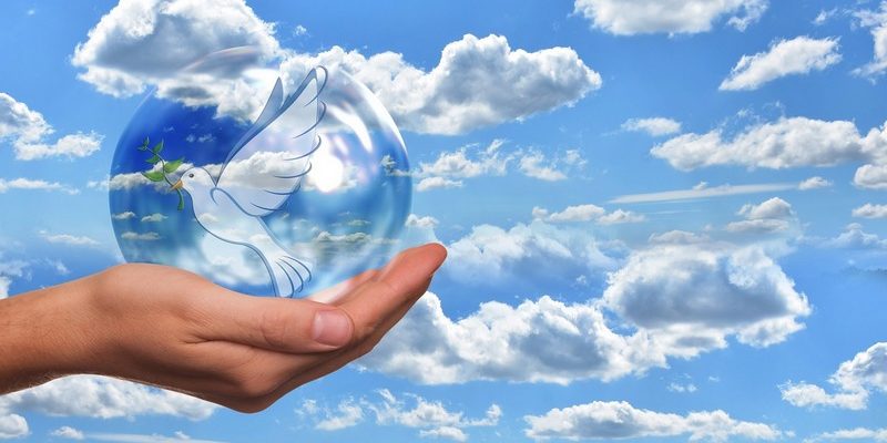 Frieden_taube_hand_800