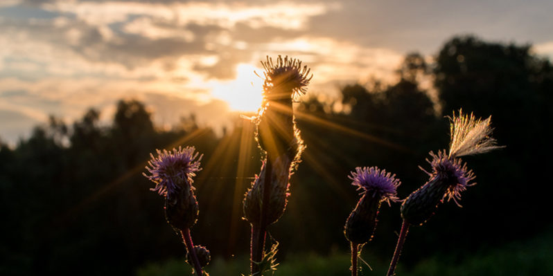 TL Was wir gewonnen haben