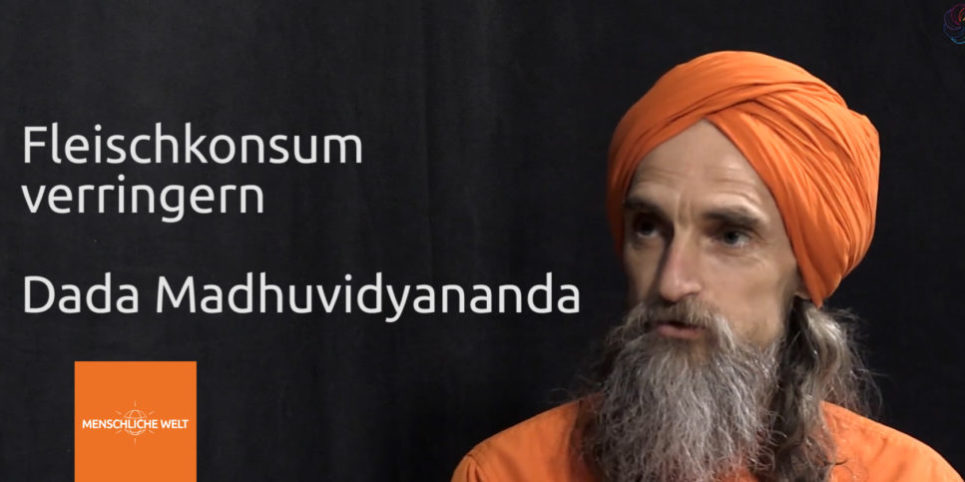 fleischkonsum-verringern