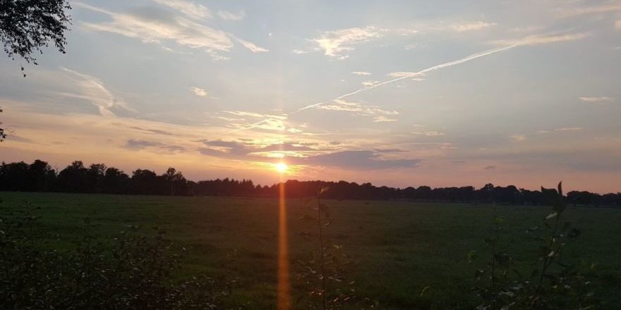 signal-2020-12-05-124111-thegem-blog-default