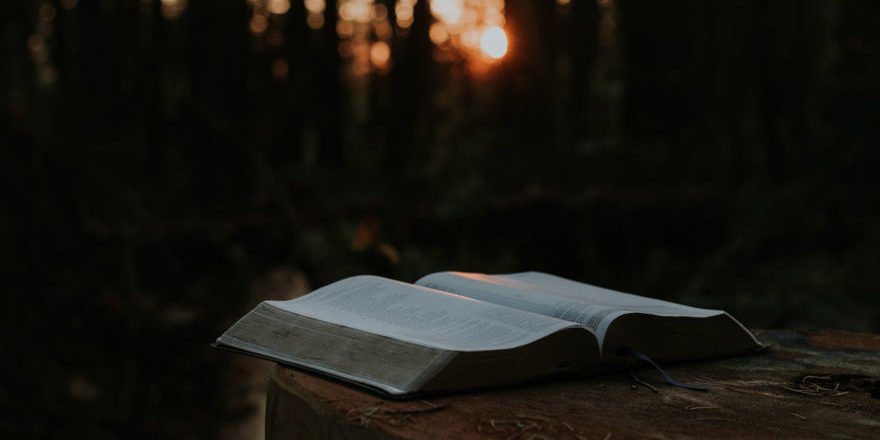 Was-wissen-wir-wirklich_-thegem-blog-default