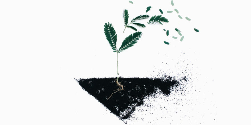 eine-neue-sicht-auf-das-leben–thegem-blog-default