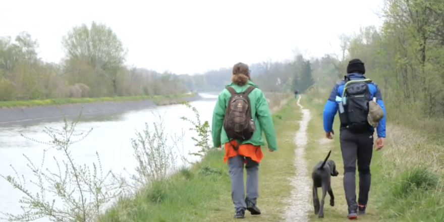 Bildschirmfoto-2021-05-11-um-19.11.18-thegem-blog-default