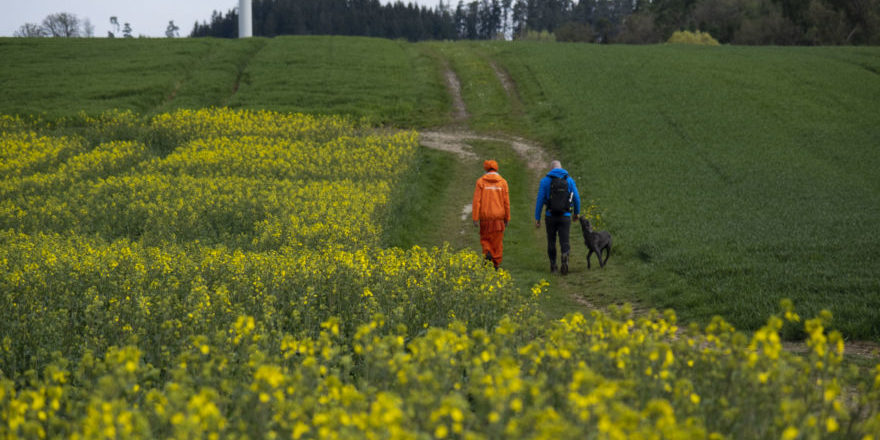 Medi-Wanderung-scaled-thegem-blog-default