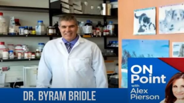 Bildschirmaufnahme_Auswahlbereich_20210606160220-thegem-blog-default