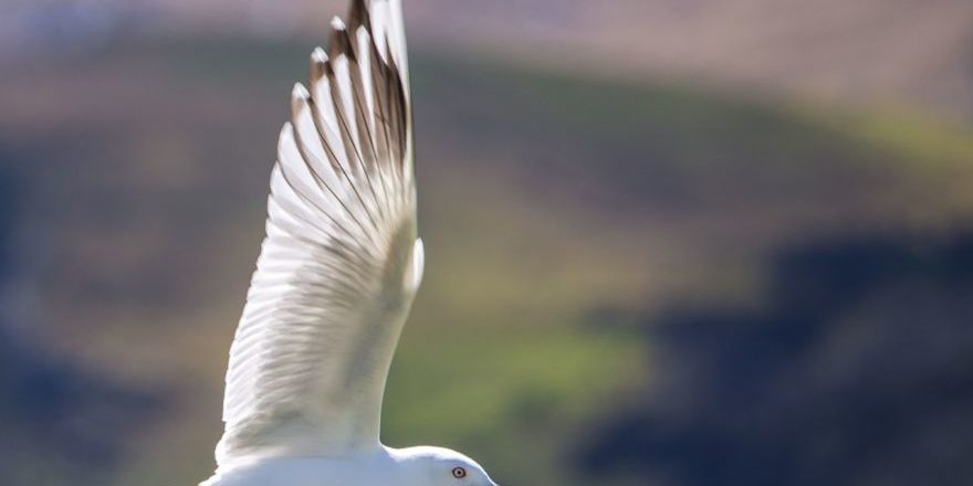 rod-long-F0CW4F8ut3U-unsplash-scaled-thegem-blog-default