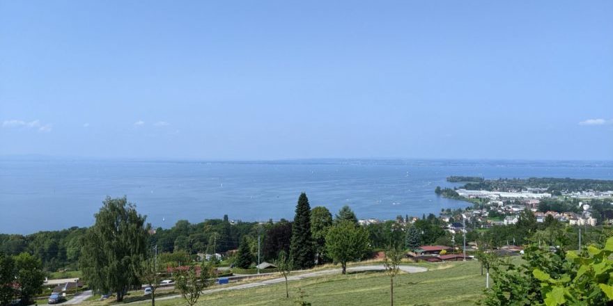 PXL_20210720_140629750-scaled-thegem-blog-default