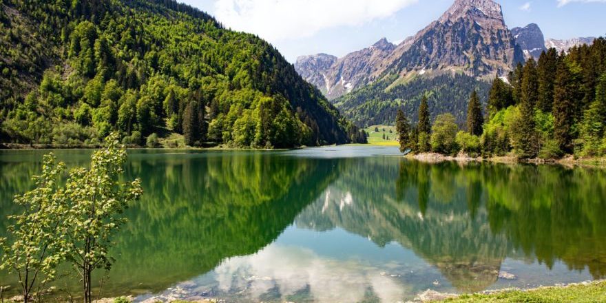 dorothea-oldani-8YHmOdmnGOI-unsplash-scaled-thegem-blog-default