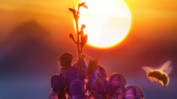 08.09.-1-1-scaled-thegem-blog-default