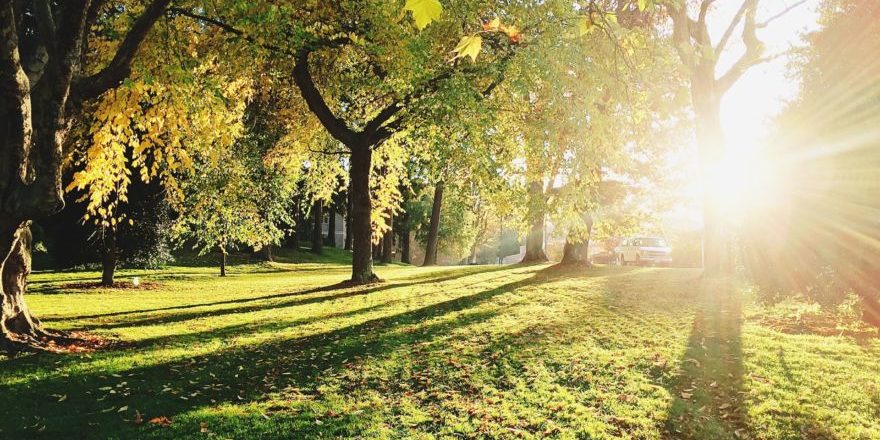 madison-nickel-_8IxiAYWoGE-unsplash-scaled-thegem-blog-default